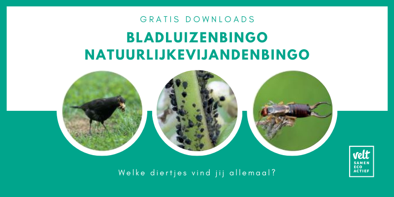 Afbeelding verwijderd.