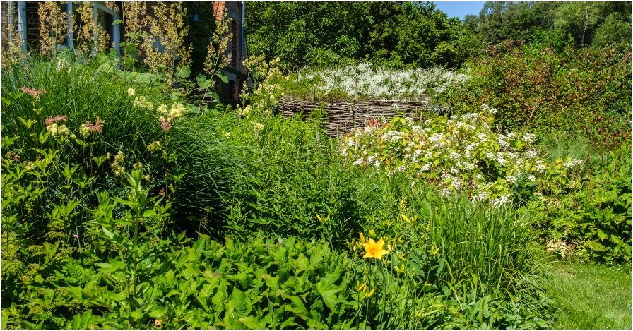 Zonneborder